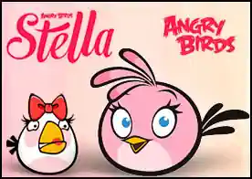 Angry Birds Stella'ya ve onun süper maceracı arkadaşlarına evlerini açgözlü kötü prenses ve onun güçlü domuzlarından koruma maceralarında eşlik et