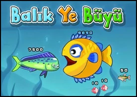 Balık Ye Büyü 2 - Kocaman okyanusta 3 arkadaş küçük balıkları yiyerek büyüyün