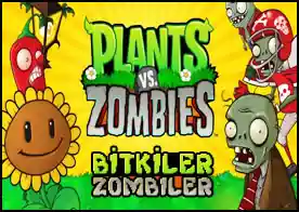 Bitkiler ve Zombiler - Evimizi istila etmek isteyen zombilere bitkilerle karşı koyuyoruz