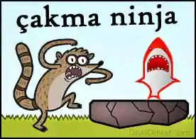 Çakma Ninja - Çakma ninjamız yoluna çıkanlara tekmeyi çaka çaka ilerliyor