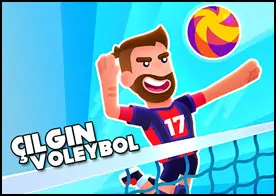 Çılgın Voleybol