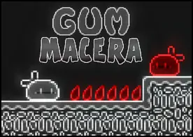 Gum Macera