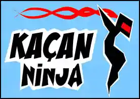 Kaçan Ninja