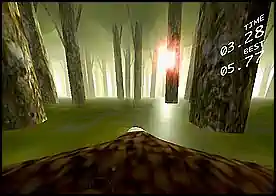 Kartal Dalışı - Ormanın içinde avının peşinde ağaçların arasında hızla ilerleyen bir kartalsın
