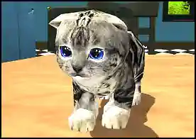Kedi Simülatörü 3D - Küçük bir yavru kedi olarak mutfakta dolaş etraftaki şeyleri kır dök parçala