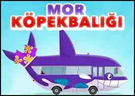 Mor Köpekbalığı