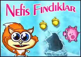 Nefis Fındıklar - Sevimli sincabın canı fındık çekmiş bilmeceleri çöz fındıkları topla