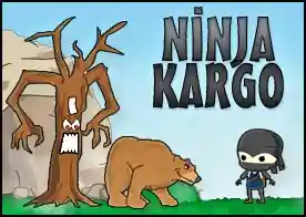 Ninja Kargo