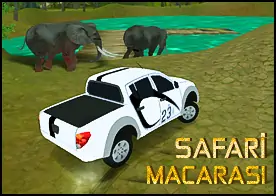 Safari Macerası