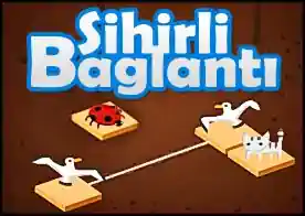 Sihirli Bağlantı