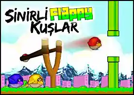 Sinirli Flappy Kuşlar