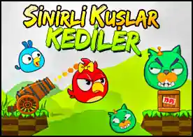 Sinirli Kuşlar ve Kediler - Angry Birds'in sinirli kuşları bu sefer kedilere karşı