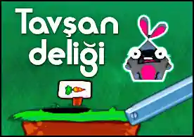 Tavşan Deliği