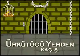 Ürkütücü Yerden Kaçış