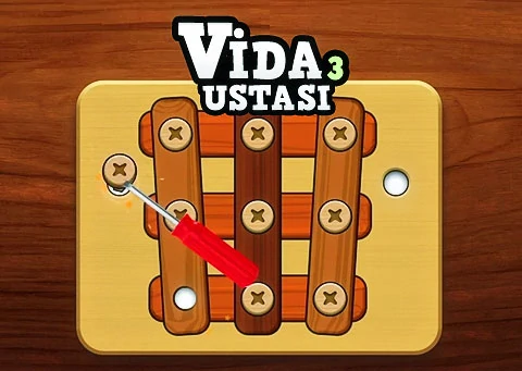 Vida Ustası 3