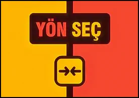 Yön Seç