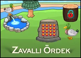 Zavallı Ördek