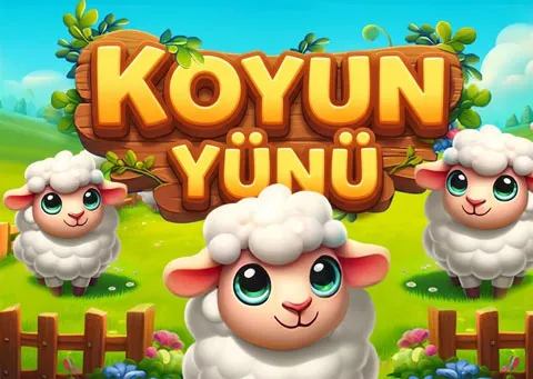 Koyun Yünü