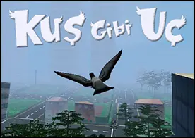 Kuş Gibi Uç - 9