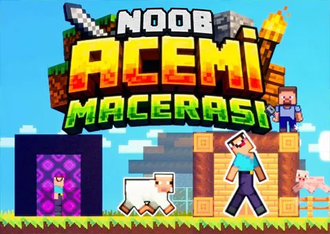 Noob Acemi Macerası
